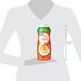 Great Value Sugar Free Hazelnut Coffee Creamer, 10.2 oz