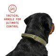 thumbnail image 6 of Mammoth Polyester Wide Buckle Design, Adjustable Fashion Dog Collar, Green, Large, 6 of 10