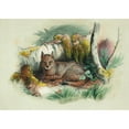 thumbnail image 2 of Joseph Wolf 14x11 Black Ornate Wood Framed Double Matted Museum Art Print Titled: The Egyptian Cat (1861-1867), 2 of 5