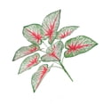 thumbnail image 3 of Planta artificial Hoja Oficina en casa Verdor Decoración Banquete de boda Planta falsa de plástico, Rojo, Tipo de hoja 1 Monstrate HA6782-01B, 3 of 6