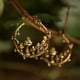 thumbnail image 2 of Moda Exquisita Mujeres Pendientes Vintage Personalidad, 2 of 5