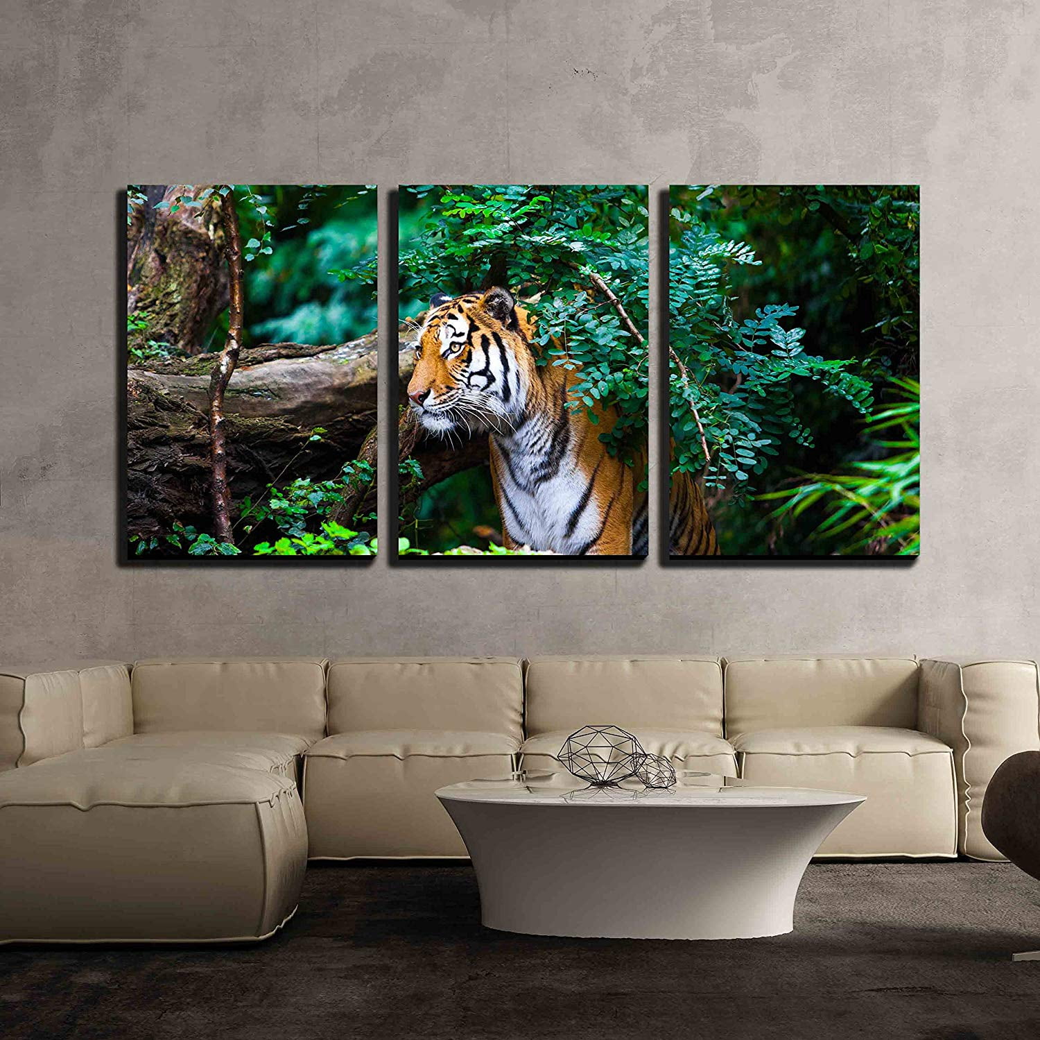 Wall26 3 Piece Canvas Wall Art - Tiger - Modern Home Decor Stretched