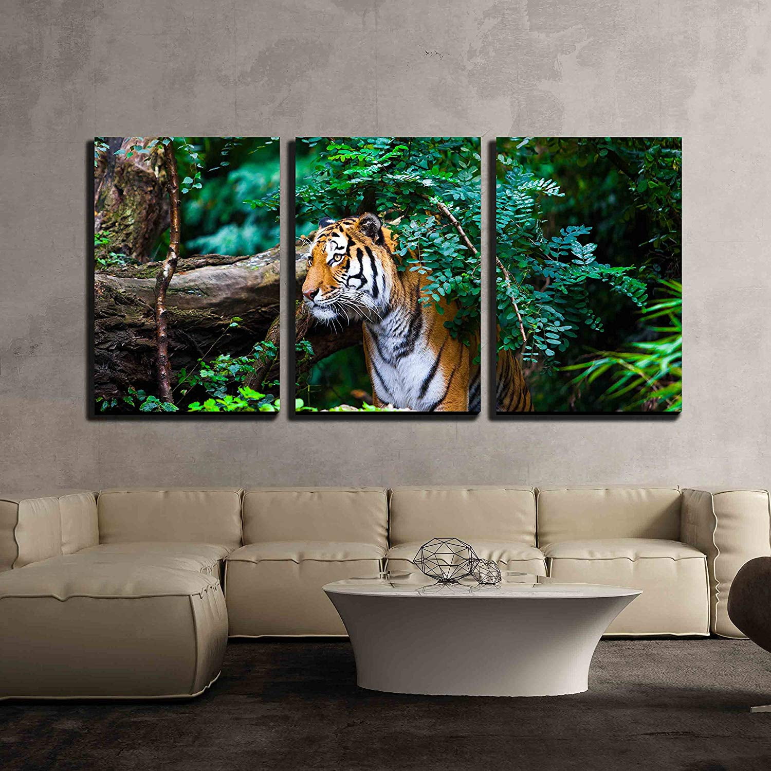 Wall26 3 Piece Canvas Wall Art Tiger Modern Home Decor