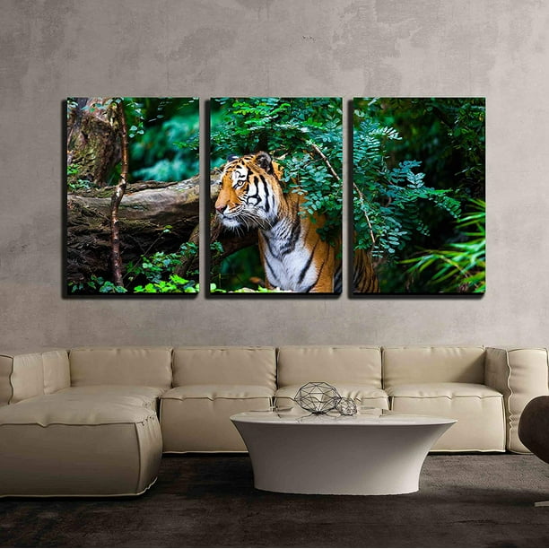 Wall26 3 Piece Canvas Wall Art - Tiger - Modern Home Decor Stretched