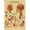 20, variant on Retro Organ Systems In The Human Body Posters Skeleton Anatomy Kraft Paper Prints DIY Vintage Home Room Art Wall Decor Paintings, 50*70cm, unframed.,23