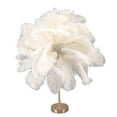 thumbnail image 1 of Ostrich Feather Night Light, Rechargeable Modern LED Decorative  Light with Feathers Dimmable Bedside Table Lamp Touch Switch Ostrich Feather Lamp for Bedroom Nightstand, 1 of 8