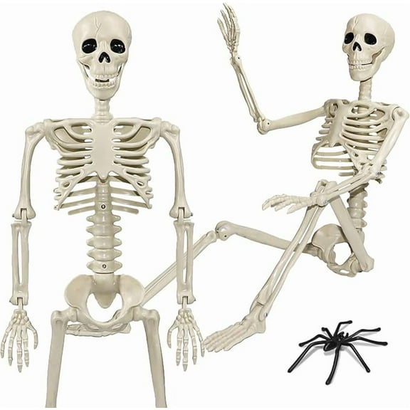 1 Pack 36"Halloween Skeleton - 3 ft Life Size Human Skeleton with Full Body Posable Joints Plastic Skeleton for Halloween Skeletons Decor Yard Patio Lawn Garden Skeleton Props Spooky Party Decoration
