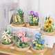 thumbnail image 1 of Compatible con Lego Immortal Flower Bundle Small Particle Assembly Toys Building Blocks Girls Rose Puzzle Ornaments Regalos institucionales, 1 of 5