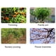 thumbnail image 5 of Podadora de ramas de árbol Scienceny Tipo 1 Accesorios para el hogar, 5 of 6