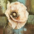 thumbnail image 2 of Selina Werbelow 36x36 Gallery Wrapped Canvas Wall Art Titled - Papaver II, 2 of 4