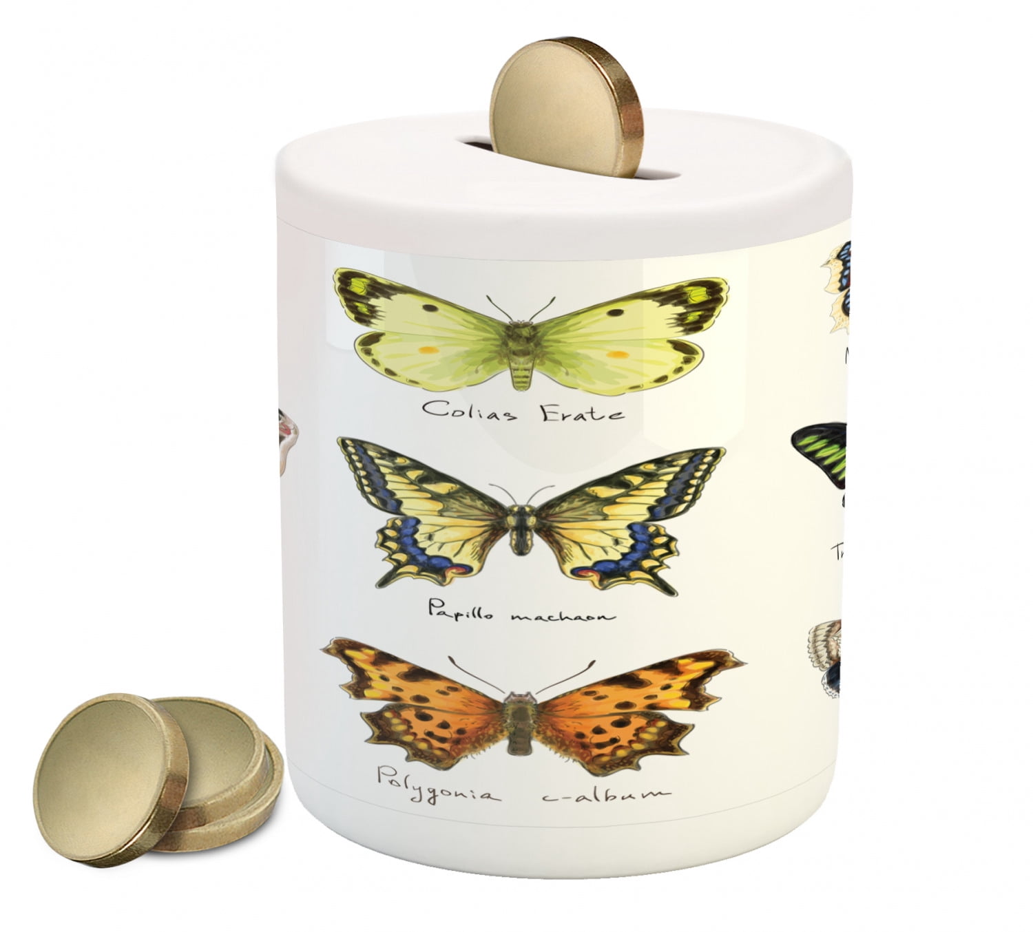Butterfly Piggy Bank, Watercolor Style Spring Insects Urania Helius ...
