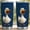 Navy, variant on Funny Rooster 20oz Stainless Steel Tumbler, Leak-Proof Insulated Coffee Cup with Lid, Funny Tumbler for Home Office, Birthday Gag Gift for Chicken Lovers