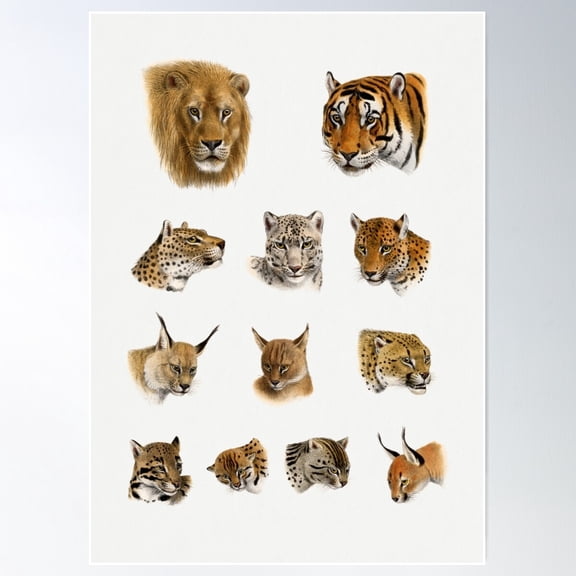 Wild Cats Poster Wall Art, Modern Wall Decor For Living Room Bedroom, 8x12 UNFRAMED
