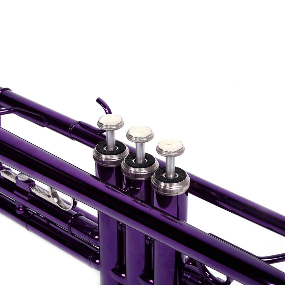Tcbosik B Flat Trumpet Set for Beginner, Trumpet Instrument with Case and Gloves for Adults, Violet