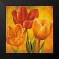 thumbnail image 2 of Pedersen, David 20x20 Black Modern Framed Museum Art Print Titled - Orange Tulips I, 2 of 5