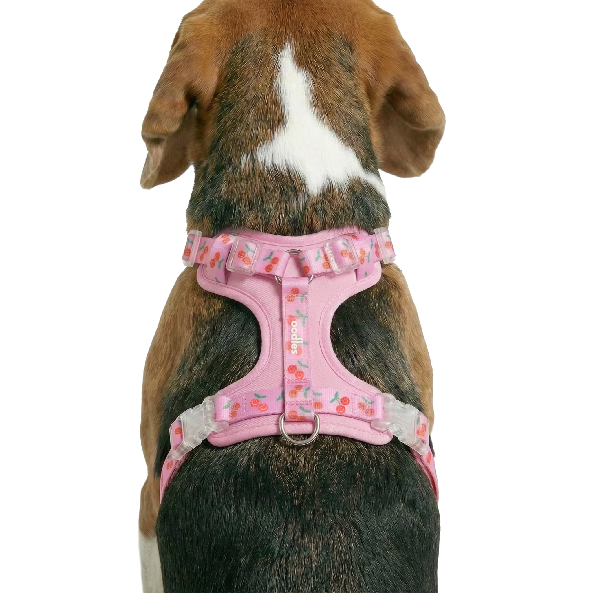 Oodles Cheeky Cherry Adjustable Mesh Dog Walking Harness, Pink, Large