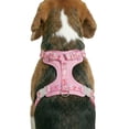 thumbnail image 4 of Oodles Cheeky Cherry Adjustable Mesh Dog Walking Harness, Pink, XL, 4 of 12