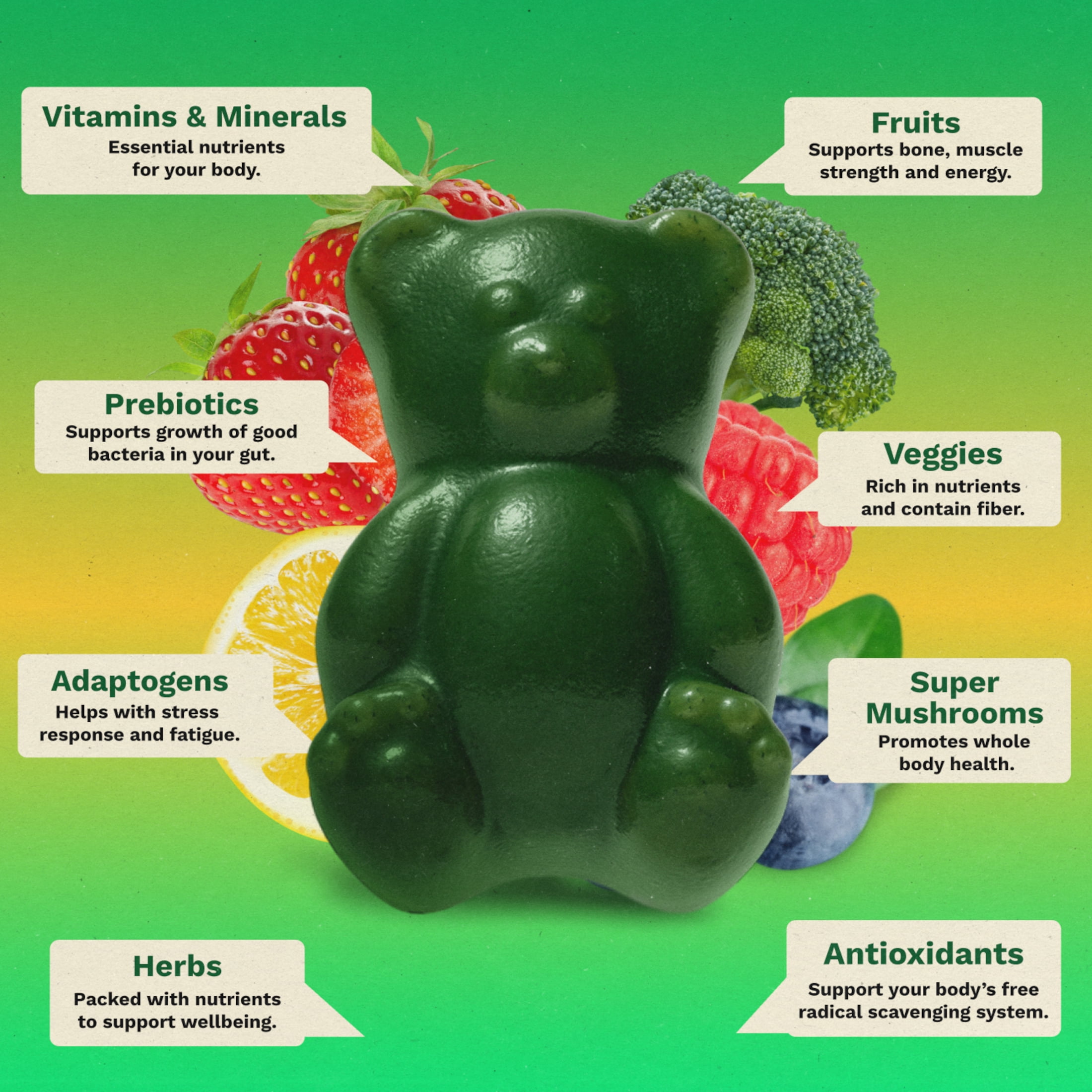 Gruns Sugar Free Superfood Multivitamin Greens Gummies for Adults, 12 Count