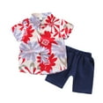 thumbnail image 1 of YTDSCS Ensemble d'Été Hawaïen pour Garçons 1-5 Ans Chemise à Boutons Imprimée + Maillot de Bain 2 Pcs pour Bébé, 1 of 8