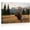 Frame-style, variant on Majestic Bull Elk Mountain Landscape Wildlife Nature Rustic Cabin Wall Art