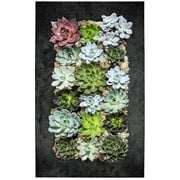 Modern Home Living Wall Galvanized Steel/Zinc Succulent Planter (Black Zinc, 18 Pocket)