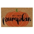 thumbnail image 2 of Fall Door Mat, Hey There Pumpkin Doormat, Autumn Decorative Entrance Door Rugs, Thanksgiving & Fall Front Door Mat, Non Slip Halloween Welcome Mat, Farmhouse Floor Mats Fall Outdoor Decor 24*16IN,D, 2 of 2