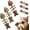 ABC, variant on Catnip and Silvervine Chew Toy for Cats, Natural Fishbone Catnip & Silvervine Chew Toy, or Teeth Cleaning, Chewing, Interactive Play and Indoor Cats (B)