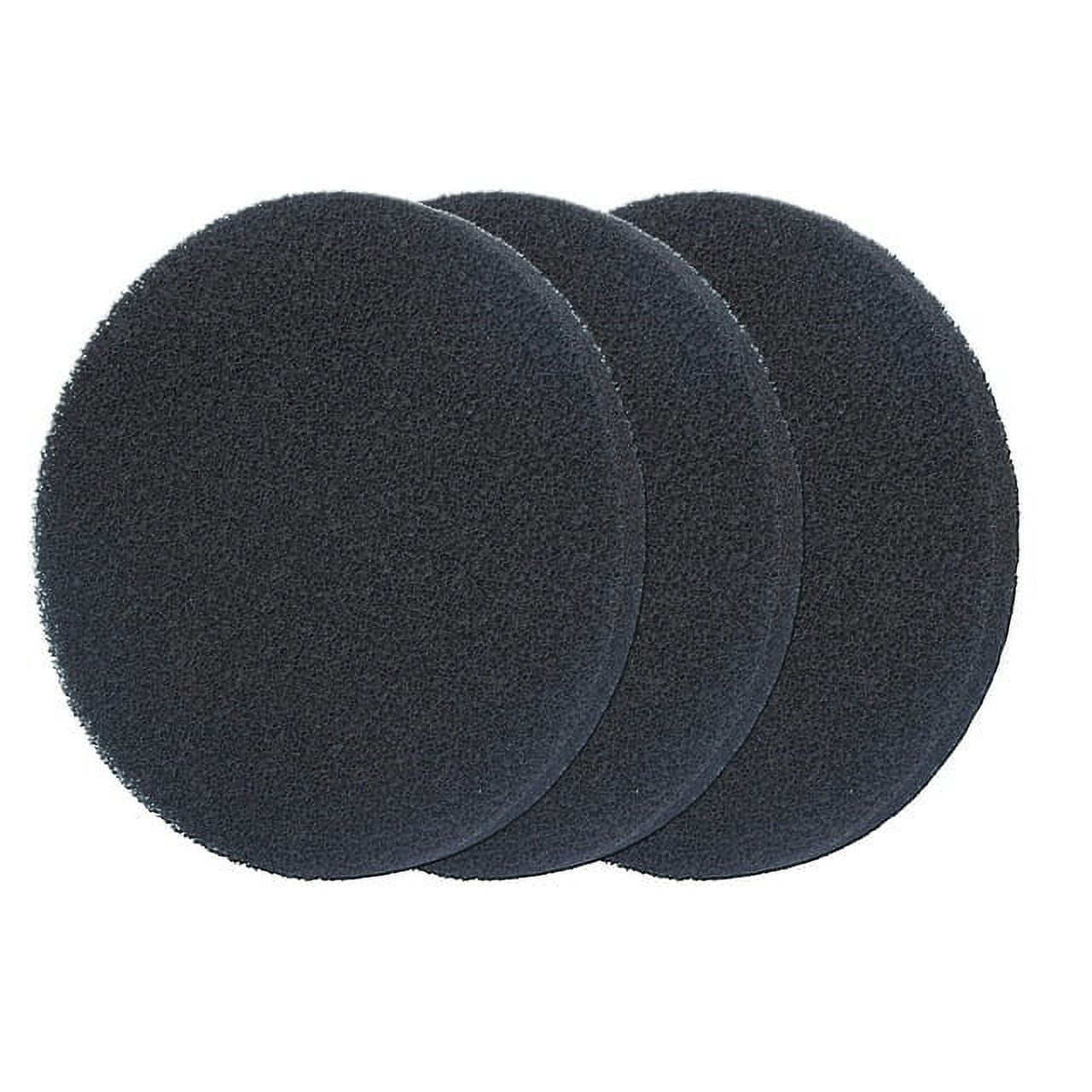 Qzbhct 10 Pcs Carbon Foam Pads for Fluval Fx4 FX5 FX6 Canister Filter Aquarium Filter Sponge Replacement