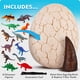 thumbnail image 5 of Kit de excavación de huevos de dinosaurio, mármol azul, National Geographic, 5 of 6