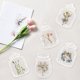 thumbnail image 1 of onlyliua ¡ ¡Ofertas Prime Day Hoy 2024! Marcador de Flores Secas, Florero Transparente y Relieve, Pequeño Ejemplar de Planta Fresca, Regalo para Escuela Primaria, 1 of 6