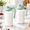 Green-64.0 ounces-2, variant on Mason Jar Pitcher 2 32 Oz (1 Quart) Glwith Lid