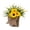 Yellow, variant on Independence Day Wall-Mounted Woven Decorative Flower Pot, Patriotic Door Hanging Wall Decor, Red White Blue Floral Hanging Basket for 4th of July Outdoor Indoor Decor