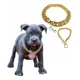 thumbnail image 1 of Collar Dorado Para Perro Cadena Tipo Cubana Imitación Oro, 1 of 5