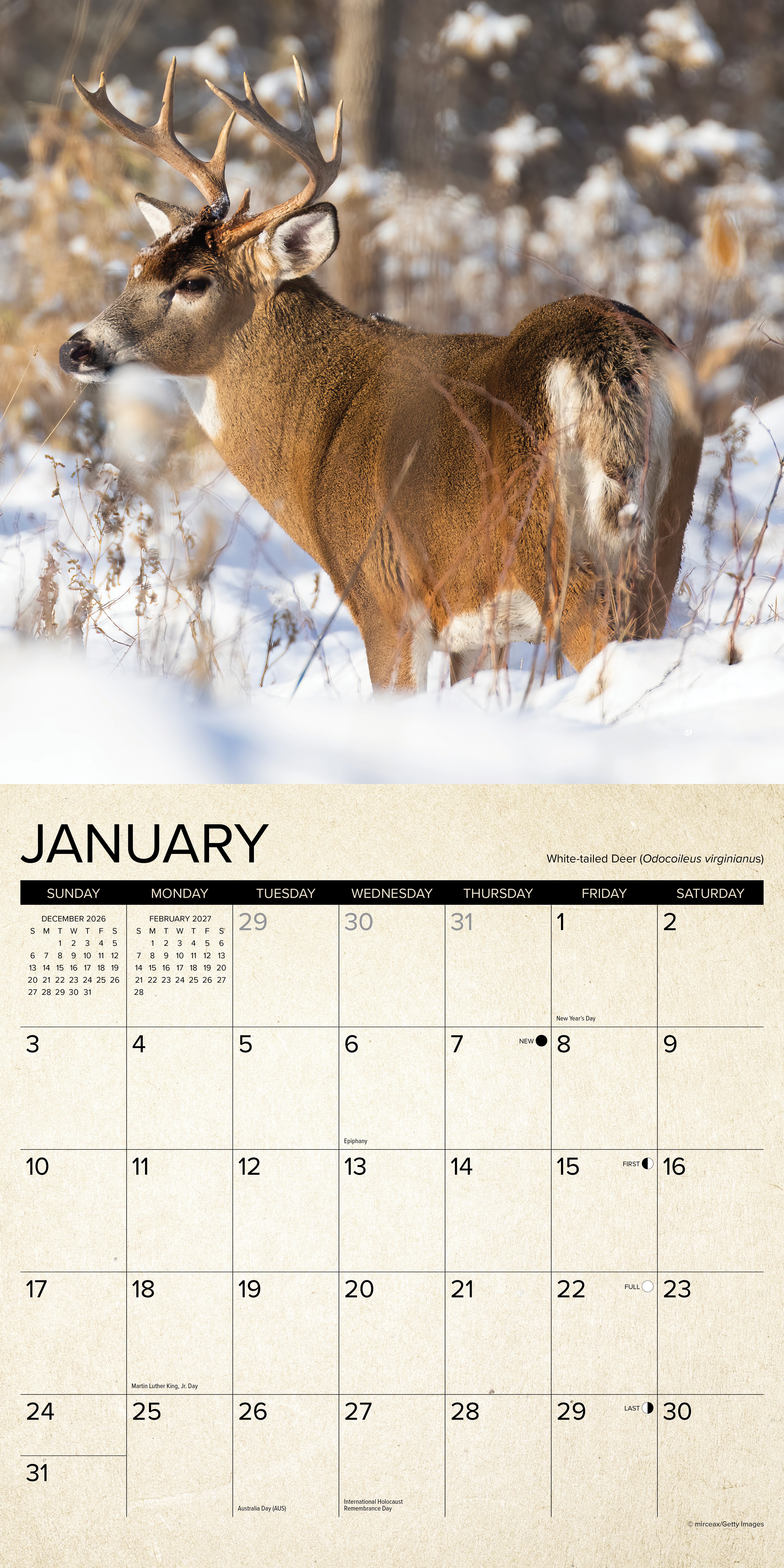 Willow Creek Press, Canadian Fish & Wild Game 2027 Wall Calendar