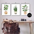 thumbnail image 3 of Stupell Minimal Potted Plants Botanicals Botanical & Floral Painting White Framed Art Print Wall Art, Set of 3, 3 of 8