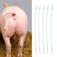 thumbnail image 4 of Tubos de inseminación artificial, 5 piezas/juego, desechables, para animales, cerdos, catéter de inseminación artificial, tubo de inseminación, tecnología avanzada, 4 of 11