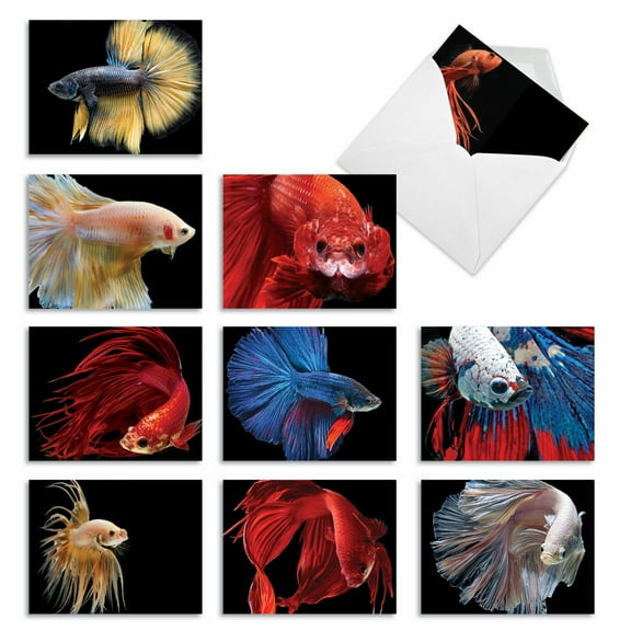 10 Assorted All Occasion Blank Note Cards with Envelopes (4 x 5.12 Inch) - FANCY FINS M1630BN