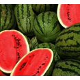 thumbnail image 3 of GSDWIUEW Heirloom Watermelon Seeds for Planting, 6 Pcs Seed, Sweet, Juicy, Extra Large Fruits, High Yield, , Fast-Growing, Summers, 3 of 5
