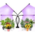 thumbnail image 1 of ER Planta Flor Suculenta Crecer Luz LED USB Clip Sincronización de velocidad completa oso de fresa Electrónica, 1 of 5