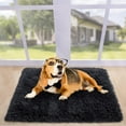 thumbnail image 5 of Softlife Super Soft Rug for Living Room Kids Room Fluffy Rugs for Dorm Room Cute Plush Carpet for Bedroom,2' x 3',Black, 5 of 7