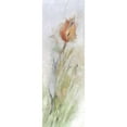 thumbnail image 3 of Calascibetta, Mike 9x18 Black Modern Framed Museum Art Print Titled - Tulip Breeze II, 3 of 5