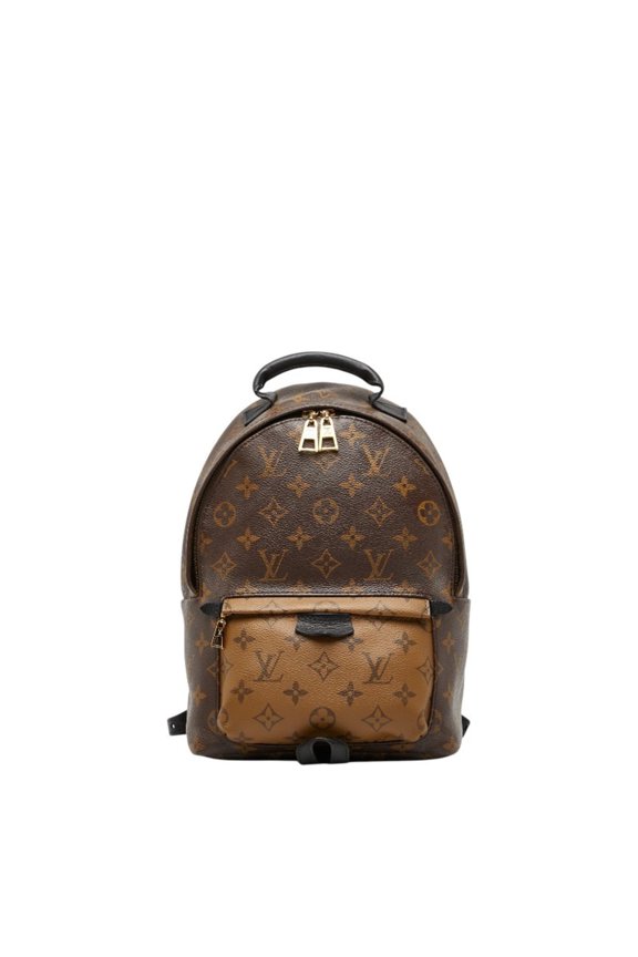 Pre-Owned Louis Vuitton Monogram Reverse Palm Springs Backpack PM (M43116) Brown Leather for...