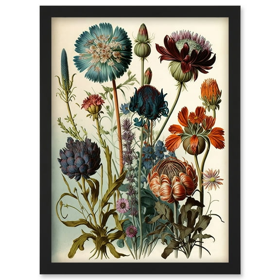 Vintage Botanical Illustration Ernst Haeckel Inspired Plant Study Modern Watercolour Painting Artwork Framed Wall Art Print A4