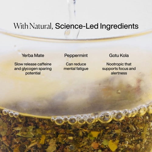 MISSION Focus Yerba Mate Tea Bags with Peppermint + Liquorice 15's, British Import (Pack of 3)