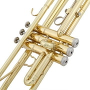 Ktaxon Bb Standard Trumpet Set, Gold Lacquer Brass with Case for Students Beginner School Band