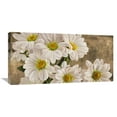 thumbnail image 1 of Global Gallery Jenny Thomlinson,'Daisies in the Moonlight' Stretched Canvas Artwork, 1 of 3