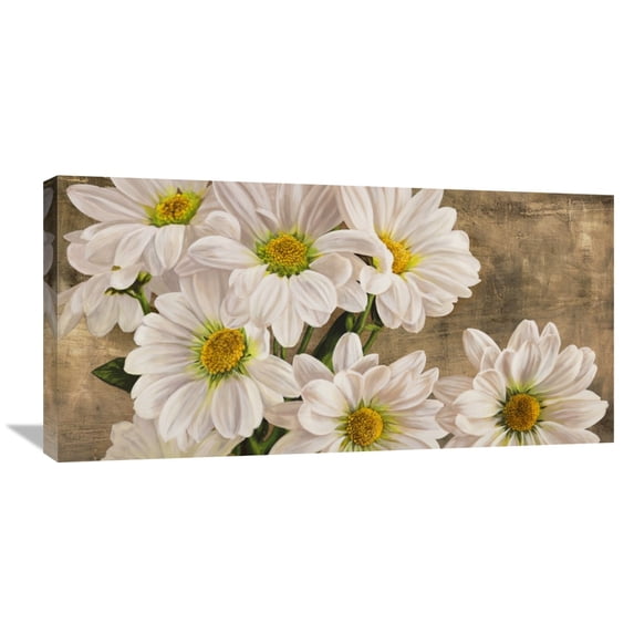 Global Gallery Jenny Thomlinson,'Daisies in the Moonlight' Stretched Canvas Artwork