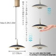 thumbnail image 4 of FSLiving H-Type Track Light with 6W COB LED Retractable Lift Track Spotlight Modern Linear Pendant Lights Adjustable Accent Downlight 4000K for Dining Rooms Kitchen Island, 4 of 8