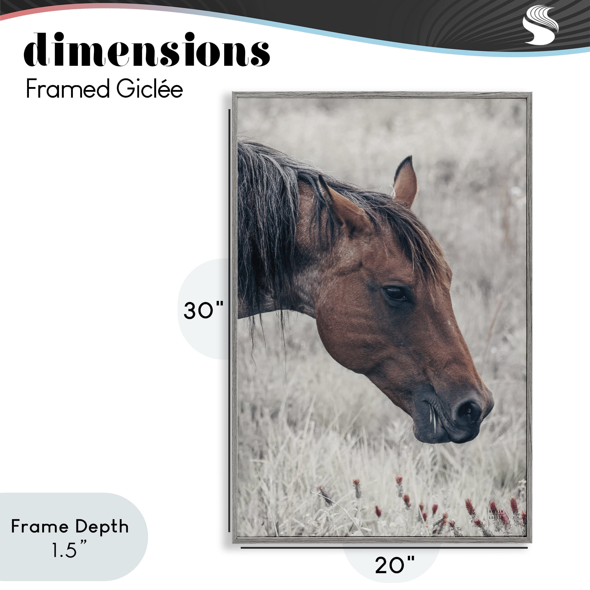 Stupell Industries Mother Horse Grazing in Meadow Gray Framed Giclee Art, design by Nathan Larson