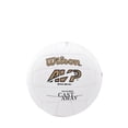 thumbnail image 1 of Minivoleibol WILSON Cast Away blanco de 18 paneles sintéticos, 1 of 2